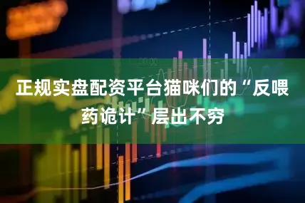 正规实盘配资平台猫咪们的“反喂药诡计”层出不穷